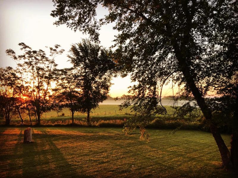 Netherfield Natural Farm Fontana エクステリア 写真